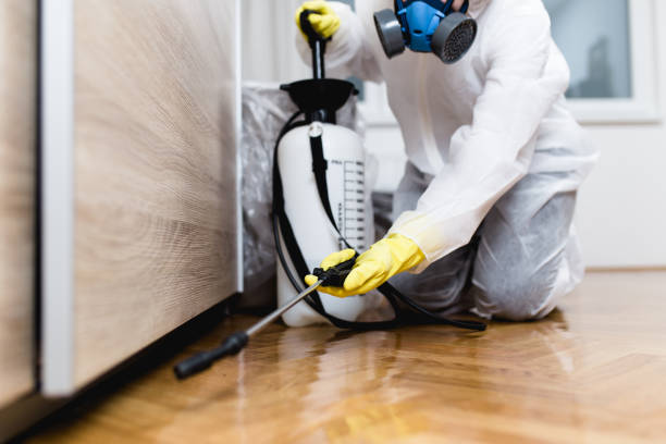 Flea Control Services in Big Sandy, TX
