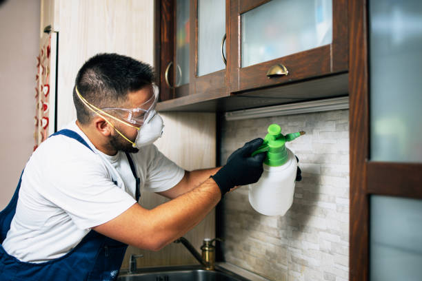 Best Affordable Pest Control Services  in Big Sandy, TX