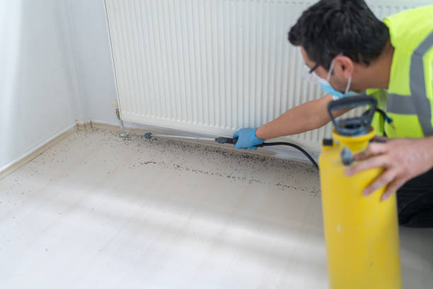 Pest Control Cost in Big Sandy, TX